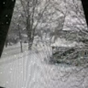 Meet your Posher, Dawn